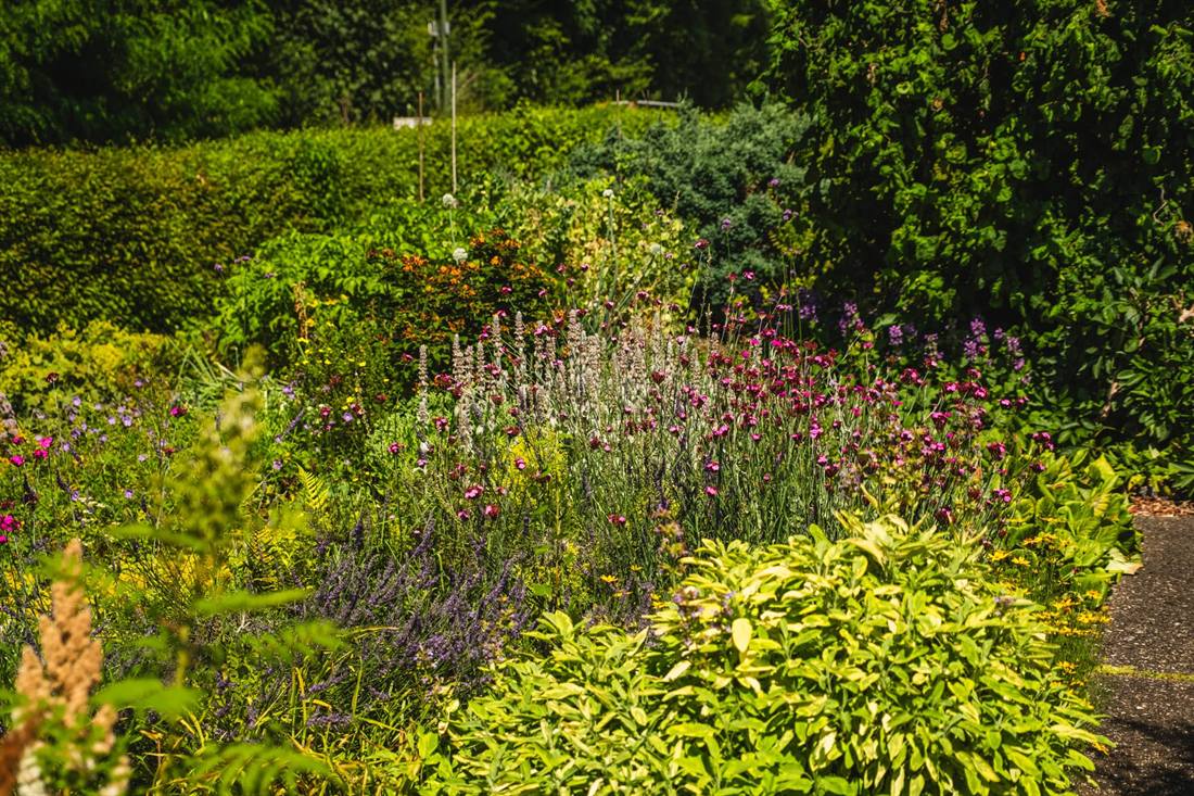 Garten Bretländer, Aufnahme 12