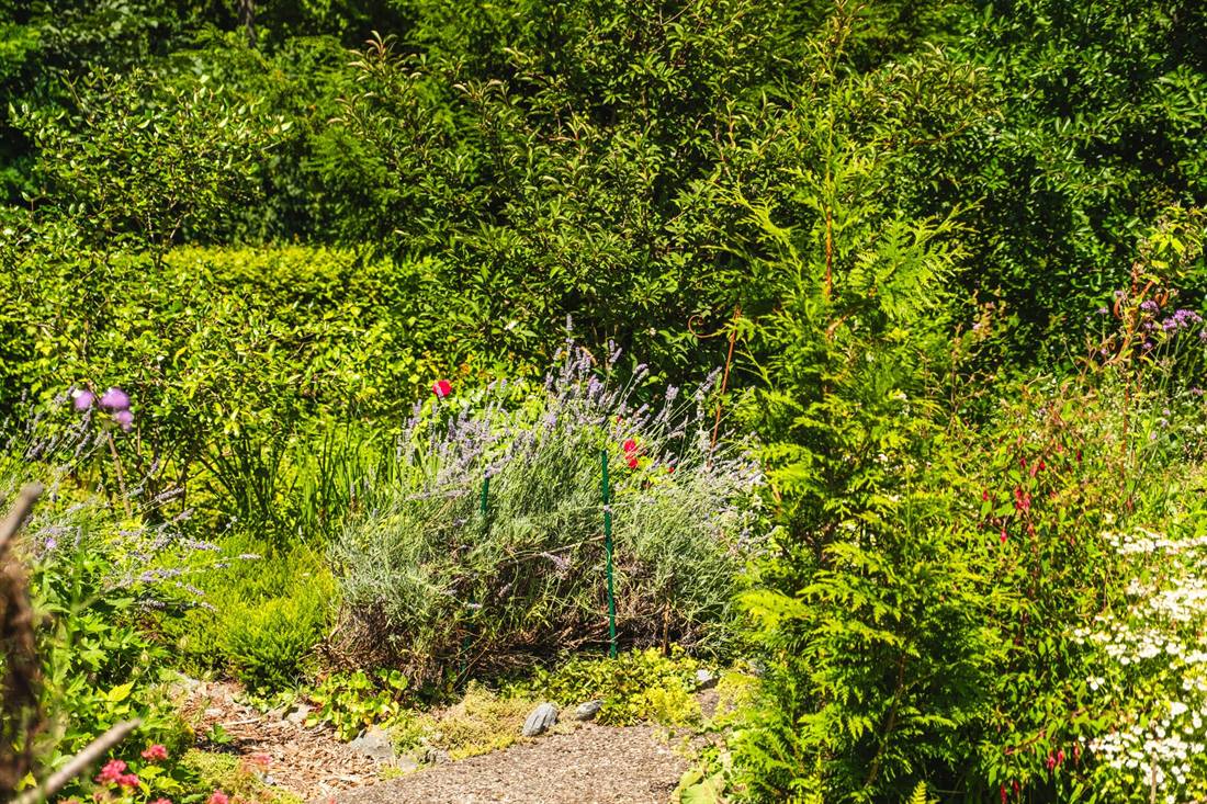 Garten Bretländer, Aufnahme 5