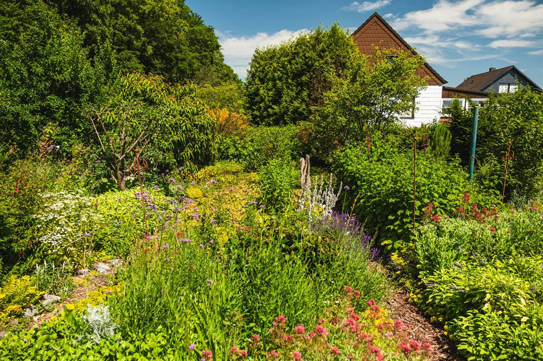 Garten Bretländer, Aufnahme 6