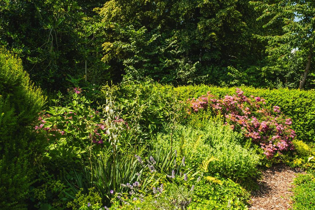 Garten Bretländer, Aufnahme 7