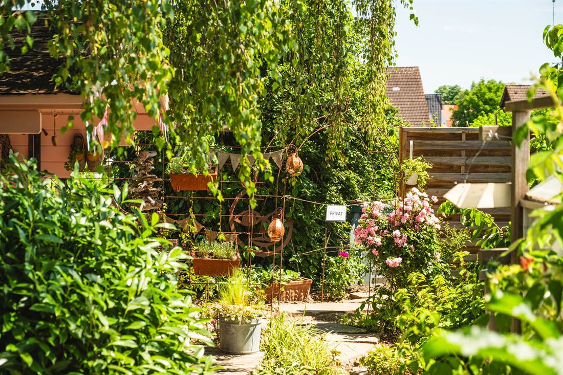 Garten Gesella und Knopp, Aufnahme 12