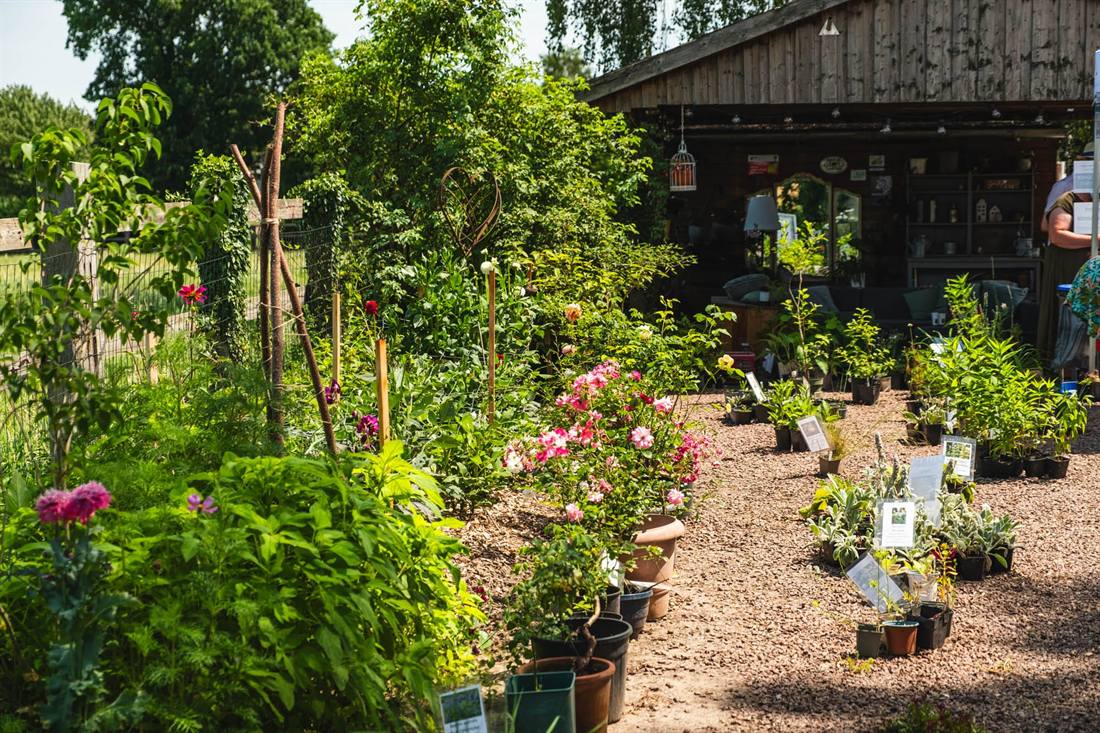 Garten Gesella und Knopp, Aufnahme 2