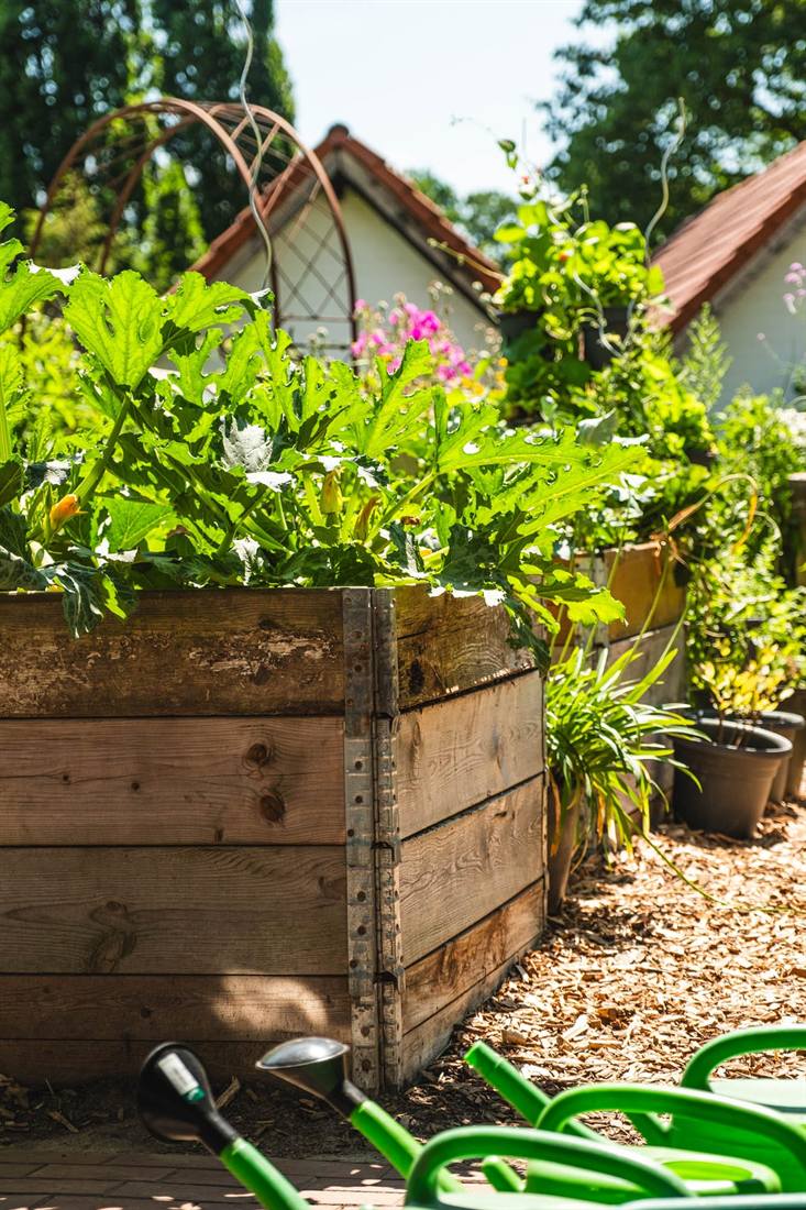 Garten Gesella und Knopp, Aufnahme 9