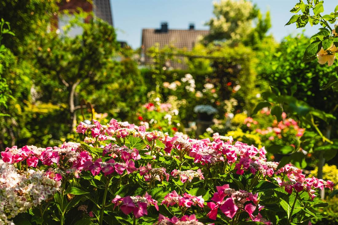 Garten Gutsch, Aufnahme 8