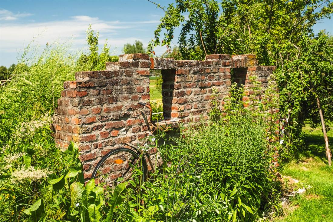 Garten Mokross und Miermeister, Aufnahme 12