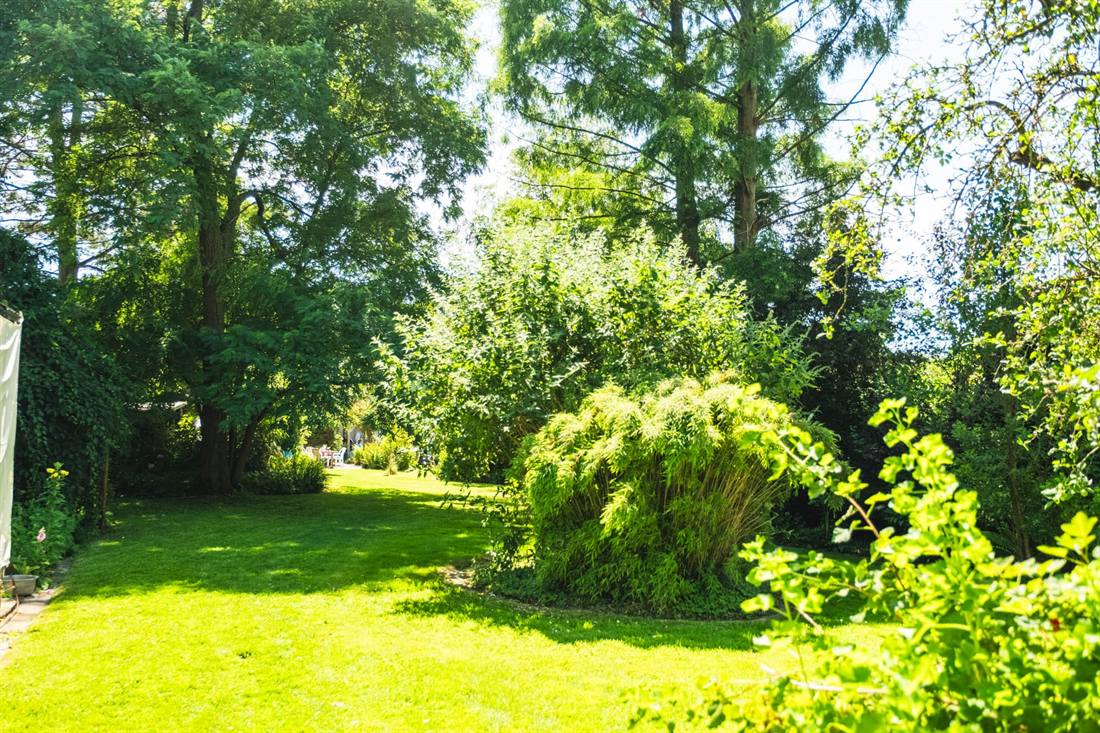 Garten Mokross und Miermeister, Aufnahme 4