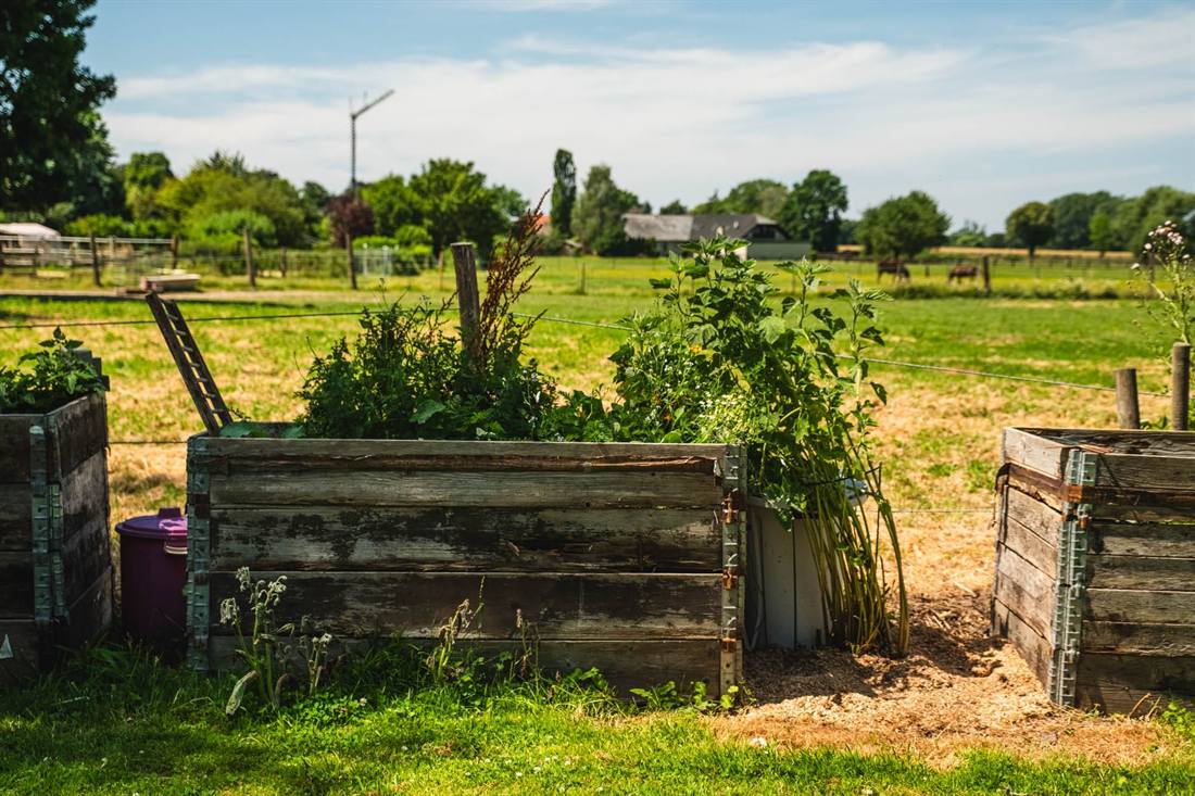 Garten Mokross und Miermeister, Aufnahme 6