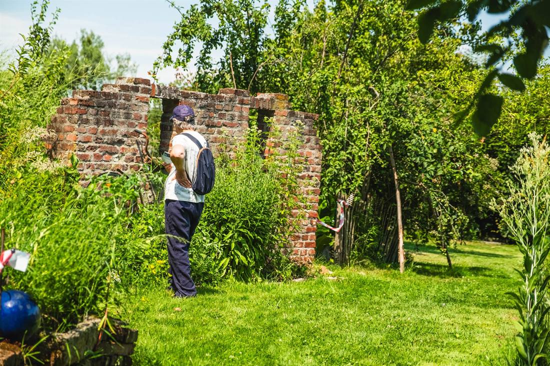Garten Mokross und Miermeister, Aufnahme 9