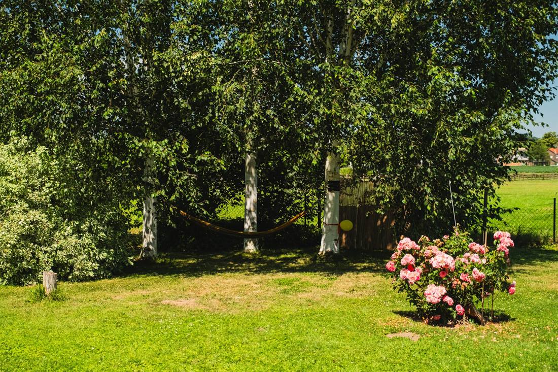 Garten Rademacher, Aufnahme 11