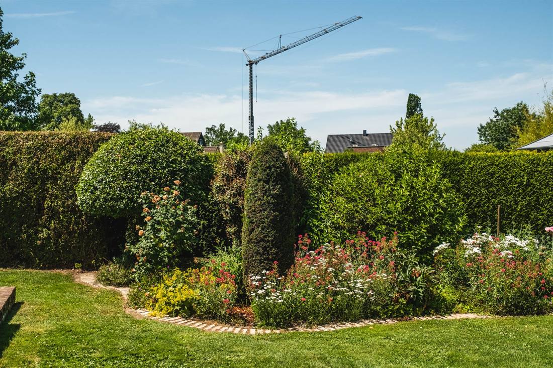 Garten Rademacher, Aufnahme 5
