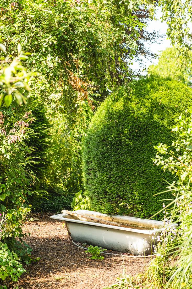 Garten Schumann, Aufnahme 11
