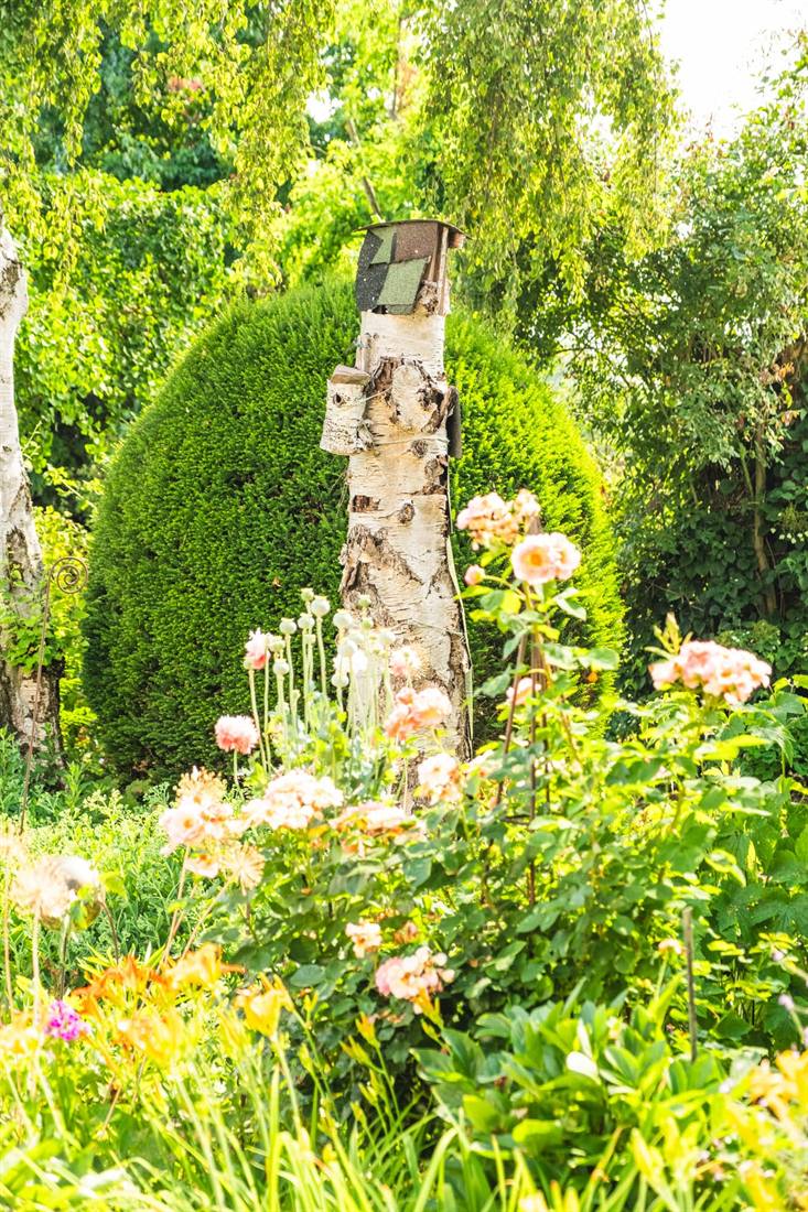Garten Schumann, Aufnahme 4