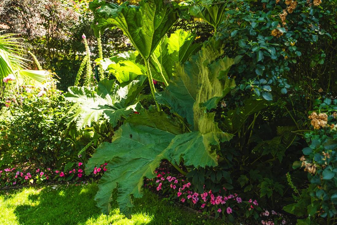 Garten Stoffel, Aufnahme 10