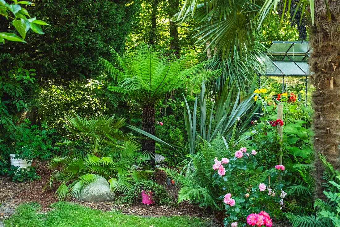 Garten Stoffel, Aufnahme 11